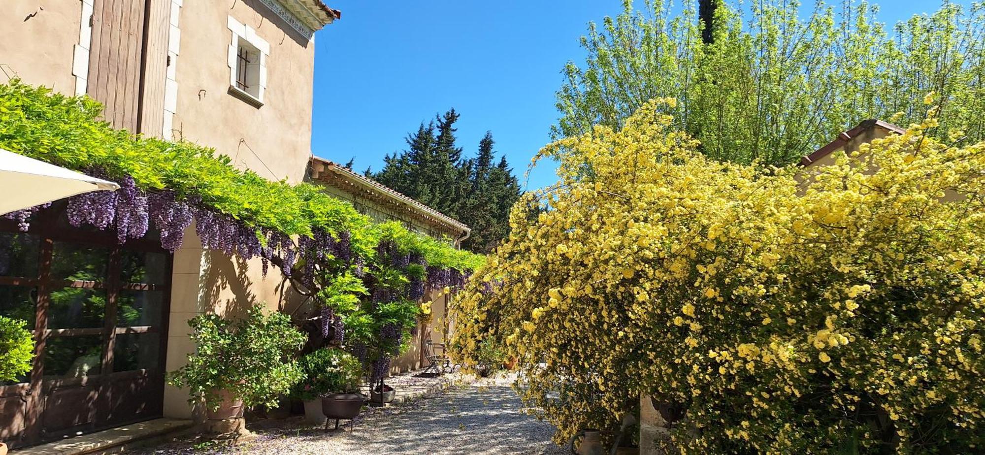 Cherche Midi Noves Exteriör bild